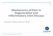 Mechanisms of Pain in Degenerative and Inflammatory Joint ... › ap... · • IL-1, IL-6 & TNFα are important final mediators of inflammation and pain, especially but not only in