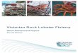 RL Stock Assessment Report 201718 final 150319 · Victorian Rock Lobster Fishery Stock Assessment Report – 2017/18 Season 3 3. WESTERN ZONE ROCK LOBSTER FISHERY 3.1 Fishery Statistics