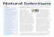 Natural Selections Winter 2020 - depts.washington.edudepts.washington.edu/pnwcesu/wordpress/wp-content/... · Welcome to the Winter 2020 Edition . of . Natural Selections! Hi, I’m