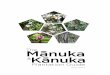 The Manuka & Kanuka Plantation Guide - GW€¦ · all land types from geothermal areas and wetlands, to dunes and dry hill slopes. While mānuka is the smaller and shorter lived of