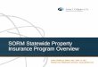 SORM Statewide Property Insurance Program Overview · SORM Statewide Property Insurance Program Overview CHRIS CONNELLY, ARM-P, ARE | MAY 11, 2017 SENIOR VICE PRESIDENT, ARTHUR J