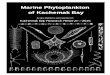 Marine Phytoplankton of Kachemak Bay€¦ · Phytoplankton are one-celled organisms that float in sunlit surface water where they convert solar ener-gy into the food energy that sustains