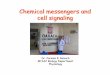 physio Chemical messengers and cell signaling (1)...Chemical messengers and cell signaling Chemical messengers and cell signaling Dr. Carmen E. Rexach MtSAC Biology Department Physiology