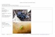 Spiders of Mt Gravatt Conservation Reserve · 29-May-16 Spiders - ver 1.8 Page 4 of 16 Mt Gravatt Environment Group – Araneidae Eriophora transmarina Garden Orb Weaver Garden Orb