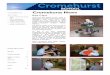 Cromehurst News...“Weather”. The class have really enjoyed this topic, listening to great songs about the weather and working on some wonderful weather related activities. The
