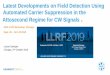 Latest Developments on Field Detection Using Automated Carrier … · 2019-10-01 · Front End of the LLRF System @DESY based on MicroTCA.4 • PN, AN scales with RF-power • Independent