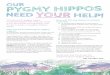 Y HIPPOS OUR NEED OUR HELP!...Y HIPPOS OUR NEED OUR HELP! This fantastic pygmy hippo fundraising pack will help you have a fun time while raising really vital funds to keep our pygmy