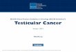 NCCN Clinical Practice Guidelines in Oncology (NCCN ... · Testicular Cancer NCCN Guidelines Index Testicular Cancer TOC Discussion Principles of Radiotherapy for Pure Testicular