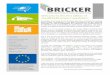Welcome to this first edition of the BRICKER project ...ares.fbk.eu/sites/reet.fbk.eu/files/bricker... · exemplarity of the public sectors in raising the profile of energy savings