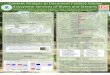 Content Analysis Poster - University of Florida ·  · 2015-01-14Content Analysis to Document Publicly Valued Ecosystem Services of Rivers and Streams Matthew A. Weber1, Shannon