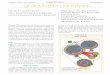 Tablets & Capsules Copyright CSC Publishing granulation ... · Examples include determining the crystallinity and polymorphism of drug substances, the 3D spatial uniformity of 