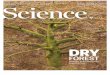 RESEARCH ARTICLESRESEARCH ARTICLES FOREST ECOLOGY Plant diversity patterns in neotropical dry forests and their conservation implications DRYFLOR*† Seasonally dry tropical forests