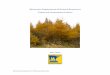 Tamarack Assessment Project - Minnesota Department of ... · The primary Native Plant Community (NPC) Classes dominated by tamarack are within the Forested Rich Peatland (FP) Ecological