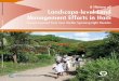 Public Disclosure Authorized Landscape-level Land A ...documents.worldbank.org/curated/en/... · 8 A History of Landscape-level Land Management Efforts in Haiti List of Project Acronyms