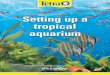 Setting up a tropical aquarium - Amazon Web Services · temperature and chemistry. A larger aquarium also allows you to select a better choice of fish, and to create a more impressive