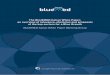 The BLUEMED Italian White Paper: an overview of relevance ... · (2016-2020), a Coordination and Support Action (CSA) to promote the implementation of the ... transport, tourism,