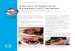 A Review of Feline Oral Squamous Cell Carcinoma · Feline oral squamous cell carcinoma (FOSCC) is the most common oral tumor in cats, accounting for 70% to 80% of all oral tumors.1