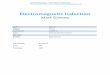 Electromagnetic Induction - Merit Tutors · 2018-05-25 · GCSE(9-1) Topic. Electromagnetic Induction . Sub Topic Booklet. Mark Scheme. 24 . minutes / 20 /100. ... 12 x 100 2400 Evaluation