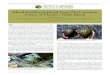IRCF REPTILES & AMPHIBIANS • 24(2):83–94 • AUG 2017 Island Paradise or Island Trap: The Uncertain Future of Florida’s Turtle Island C. Kenneth Dodd, Jr. Department of