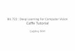 BIL 722 : Deep Learning For Computer Vision Caffe Tutorialaykut/classes/spring2016/bil722/... · BIL 722 : Deep Learning For Computer Vision Caffe Tutorial Çağdaş BAK