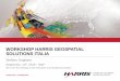 WORKSHOP HARRIS GEOSPATIAL SOLUTIONS ITALIA · Geospatial Services Framework ONLINE, ON-DEMAND > Create and publish web deployed image analysis tools > Consume IDL or ENVI from mobile,