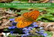 Butterfly Observer Summer 2016 - Butterfly Conservation · Butterfly Observer Summer 2016 – Issue 60 2 Marsh Fritillary egg-laying on a trip to the Upper Fowey Valley – see p.18