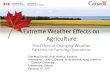 Extreme Weather Effects on Agriculture...Eastern Ontario seeding patterns • Target Planting dates for crops –Cereal – April 15 –Corn – May 1 –Soy – May 10 • Planting