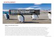 Falklands, South Georgia and Antarctica - Expedition · important breeding ground for penguins, elephant seals and sea lions and an abundance of seabirds along the endless beaches,