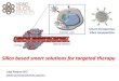 Smart mesoporous Cancer cell Tumor Blood vesselcalabriaeuropa.regione.calabria.it/website... · Smart mesoporous silica nanoparticle Silica based smart solutions for targeted therapy