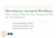 Membrane Aerated Biofilms - Freese and Nichols, Inc.Membrane Aerated Biofilms: Who is There, What are They Doing, and Why are They Beneficial Leon Downing, Ph.D. University of Notre