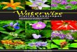 Waterwise - St. John's Landing Estates · Waterwise Florida Landscapes. Credits ... The districts offer special thanks to the Association of Florida Native Nurseries, Janice Broda,