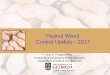 Peanut Weed Control Update - 2017 Weed-2017.pdf · 2016-12-12 · 2016 Peanut Weed Control Research PE-08B-16 August 9, 2016 104 DAP