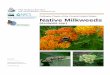 Pollinator Plants of the Central United States: Native …...Pollinator Plants of the Central United States Native Milkweeds (Asclepias spp.) June 2013 The Xerces Society for Invertebrate