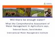 Deborah Bossio, David Molden International Water Management Institute · 2013-08-21 · What the Comprehensive Assessment of Water Management in Agriculture says. Deborah Bossio,