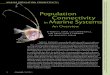 Population Connectivity Marine Systems · A mechanistic understanding of marine population connectivity requires resolution of the biological and physical processes involved in larval