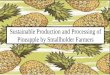 Sustainable Production and Processing of Pineapple by ... · Sustainable Production and Processing of Pineapple by Smallholder Farmers . Content Diversity Introduction Problem Statement