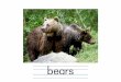 bearsAuthor 教育出版株式会社 Created Date 10/11/2016 1:04:42 AM