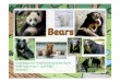 Home Learning - Bears - KUW€¦ · ebja 84e ebja 584ef ?