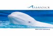BELUGA WHALE - AMMPA · This is a misnomer for beluga whales because they possess many teeth (Reeves et al., 2002). Genus: Delphinapterus • Belugas are the only living member of