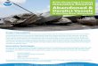 Abandoned & Derelict Vessels - Marine Debris · Ocean Conservancy, evaluated sites with abandoned and derelict vessels for removal using a barge and crane. Within the Dog River, 25