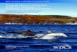 Towards Marine Protected Areas for Cetaceans in Scotland, … · For harbour porpoises, white-beaked dolphins, minke whales and short- beaked common dolphins in particular, given