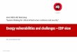 Energy vulnerabilities and challenges EDP vie Messias - WG Energy.pdf · EDP –DGR –Ricardo Messias Energy vulnerabilities and challenges –EDP view Key dependencies 7/12 Communication