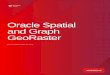 Oracle Spatial and Graph GeoRaster · 2019-05-14 · 2 WHITE PAPER / Oracle Spatial and Graph GeoRaster . ... photogrammetry, and geospatial thematic mapping. It is used in a wide