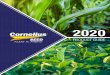 PRODUCT GUIDE - Cornelius Seed...Cornelius Seed is pleased to announce we will be distributing P3 Genetics for the 2020 growing season. P3 Genetics is a brand owned by MS Technologies,