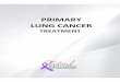 PRIMARY LUNG CANCER - Deputy Prime Minister · Lung Cancer Treatments used for lung cancer include radiotherapy, chemotherapy, targeted therapies and sometimes surgery. Often, a combination