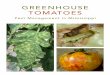 Greenhouse Tomatoes: Pest Management in Mississippiextension.msstate.edu/sites/default/files/... · 4 GREENHOUSE TOMATOES Pest Management in Mississippi Because many insects and mites