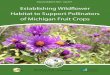 Establishing Wildflower Habitat to Support Pollinators of ......Establishing Wildflower Habitat to Support Pollinators of Michigan Fruit Crops. 24 pp. East Lansing, MI: Michigan State