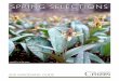 Spring SelectionS - ibiblio€¦ · Perennials, annuals, herbs, shrubs durham For Garden’S Sake 9197 Hwy 751 • 484-9759 9am-6pm, Mon-Sat; 10 a.m.-4 p.m., Sun Landscape design,