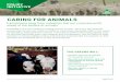 CARING FOR ANIMALS - Australian Greens · CARING FOR ANIMALS Transitioning away from industries that put corporate profit ... practice in animal welfare and to end harmful practices