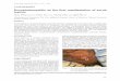 Encephalomyelitis as the first manifestation of scrub typhusneurology-asia.org/articles/neuroasia-2019-24(2)-157.pdf · 157 Encephalomyelitis as the first manifestation of scrub typhus